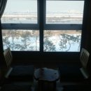 시드니하트 이미지