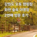 국립화천숲속야영장 | [국립화천 숲속 야영장] 단풍 캠핑하기 좋은 저렴한 오토 캠핑장 1박 재방문 후기 : 제1자동차, 제2...