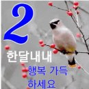 2월 1일 행복한 토요일 개 🐕 띠방 아침인사 🐕 이미지