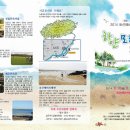 표선리-19 이미지