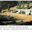 금성문화사