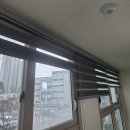 판교대장로2길 | 분당·화성 1인 가구 주목! 실패 없는 소형 반포장이사 선택법과 디테일의 차이