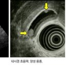 유한한약방