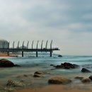 바다풍경 이미지