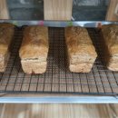 펫코노미 창업과정(수제간식) 이미지