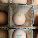 양평샘꼴농장 이미지