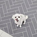 멍뭉이 이발소 이미지