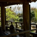 초의선사탄생지 기념전시관 이미지