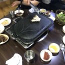 시끌시끌돼지들 이미지