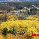 백사1 이미지