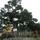 소답동250 이미지