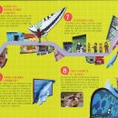 혁신신화공인중개사사무소 이미지