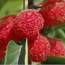 명규농장 이미지