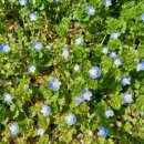 시크릿펜션 이미지