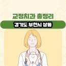 조윤치과의원 | 경기도 부천시 상동 교정치과 총정리