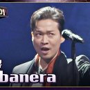 이동규 habanera 이미지