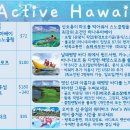 1/24 [여행플랜케어]하와이 일급 자유여행 6일(항공+호텔1박) / 아시아나 / 879,000 이미지