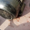 골든셀프워시 이미지