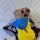 사임당로공원 | 2025 ASIA INVITATIONAL 참여 후기