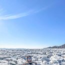 남극 아니고☃ 인천 맞습니다 겨울에만 볼 수 있는❄ 강화 #동막해변 유빙 이미지