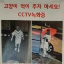 보배어린이집 이미지