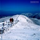 소백산 이미지