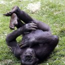 공감 골프 이미지