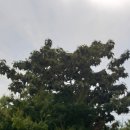 대동고등학교 이미지