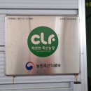 상갑 양계장 네이버블로그