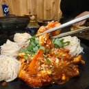 샤샤살롱 이미지