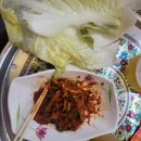 동탄한증막 이미지