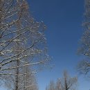 고요한 시선 이미지