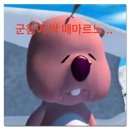 오르카 이미지