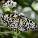 리치펫동물병원 이미지