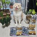 토우마루 | 토우 고양이 사료, 입짧은 고양이도 완그릇