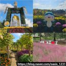 송이공원 화장실 | 익산 천만송이 국화축제 2025 직접 다녀온 주차장 5곳 꽃 위치 일정 기본정보