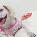 하단할머니 이미지