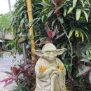 치유요가반 이미지