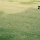 잔디골프아카데미 이미지