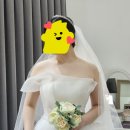 통통투어 | 💍 마샬브라이드 전주점 웨딩드레스 투어 후기 ｜통통 스트레이트 체형 예신의 드레스 피팅 🤍