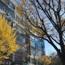 수원더셀의원 | 수원더셀의원에서 발톱무좀 치료받고 있어요 ~