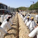 의령큰줄땡기기 이미지