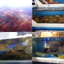 하대동350 이미지