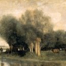 버드나무 이미지