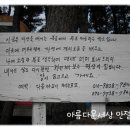 모모자전거 이미지