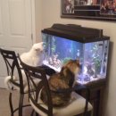 민지네방앗간 | 2026.02 #2