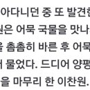 어묵사랑 이미지