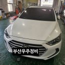 성화모터스 이미지