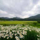 안터 이미지