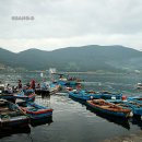 시락 소포마을 이미지